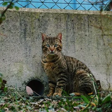 团队成员